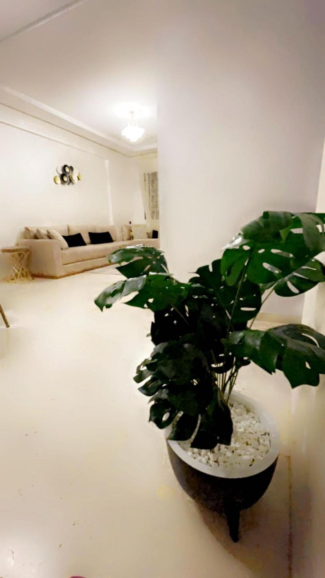 Gueliz L'Hivernage Nour5 Apartment มาร์ราเกช ภายนอก รูปภาพ